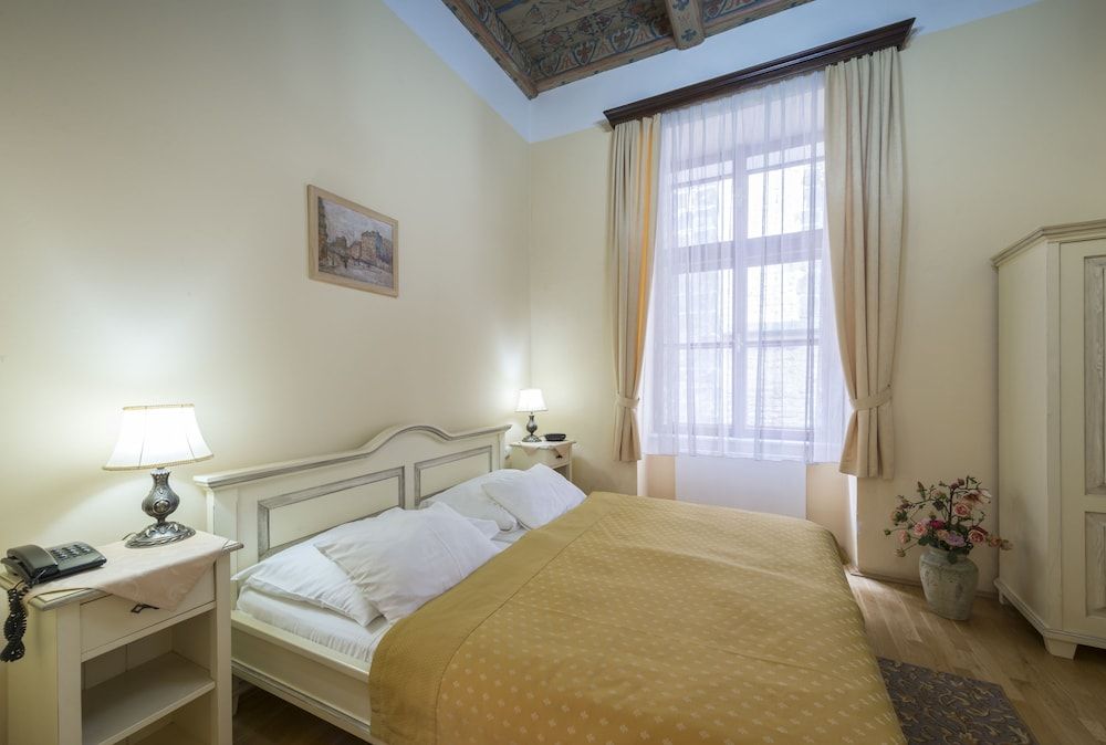 Hotel Černý Slon Double Room 4