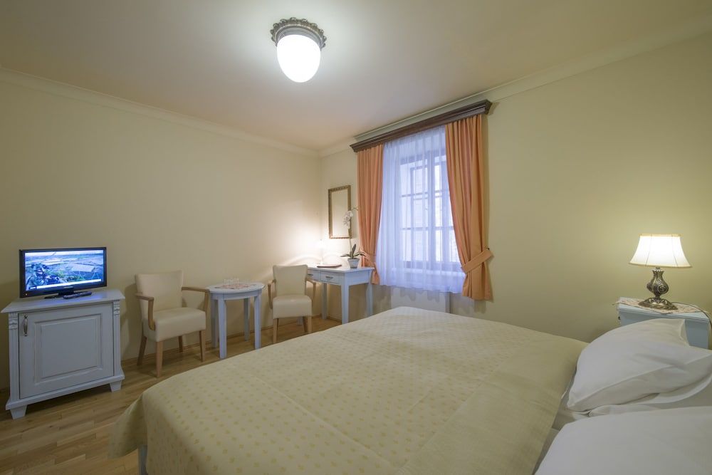 Hotel Černý Slon Double Room 2