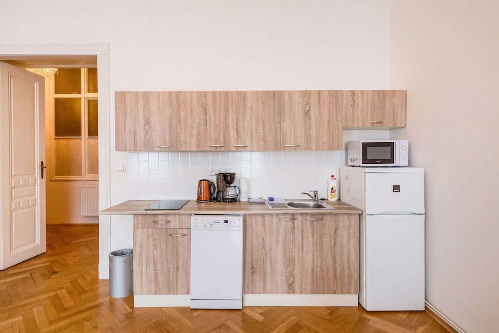 undefined Apartments 39 Wenceslas Square 9