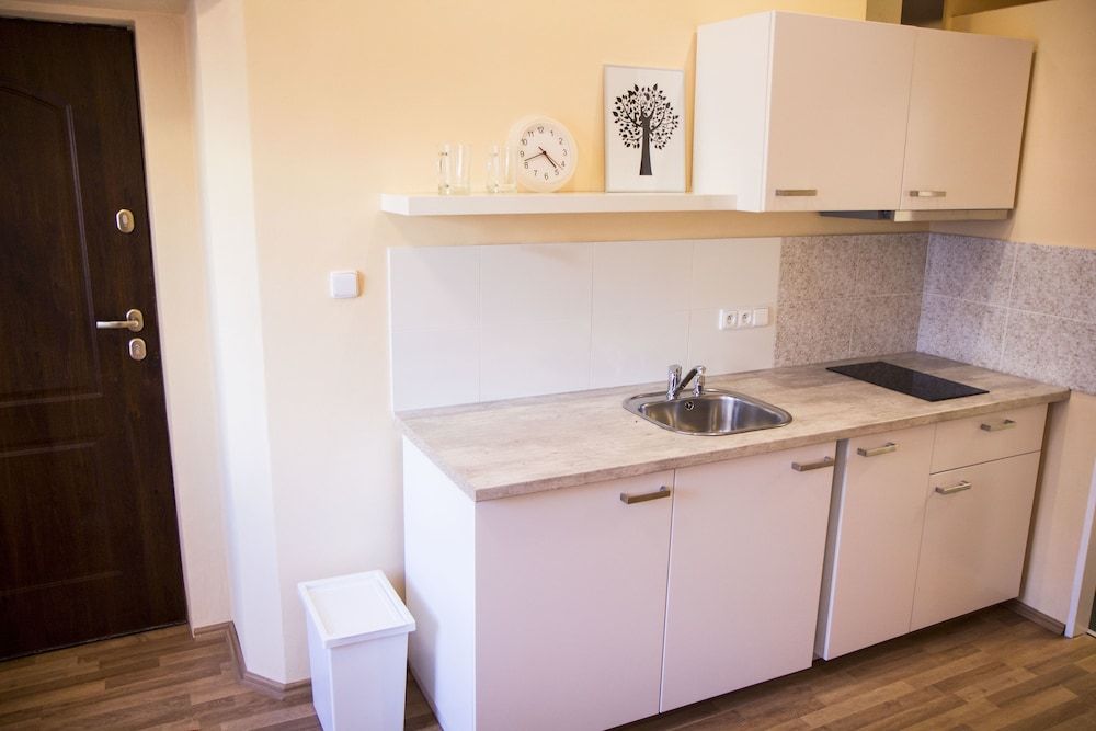Lidicka Apartments City Apartment, 1 Bedroom, Kitchen 12