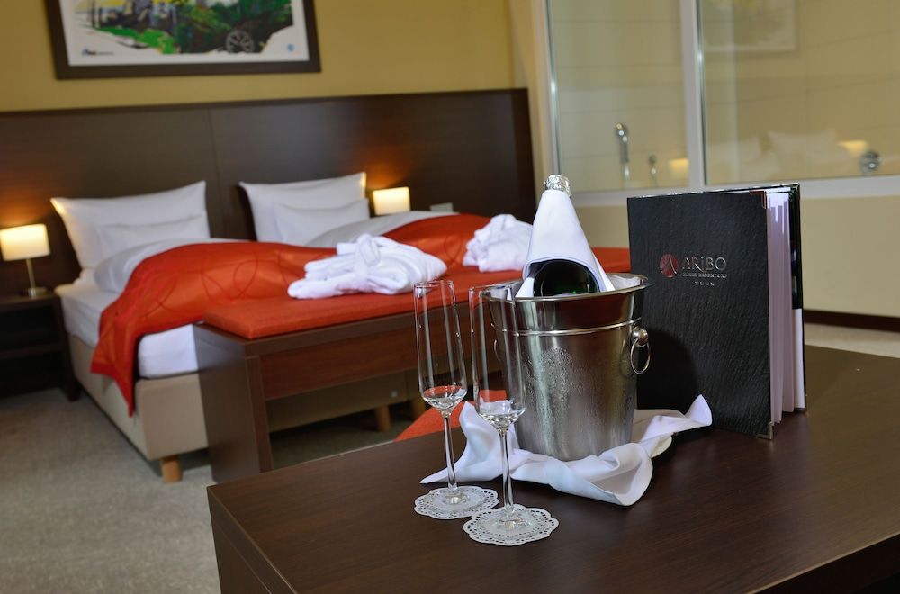 ARIBO Hotel Erbendorf Wellness Room 6