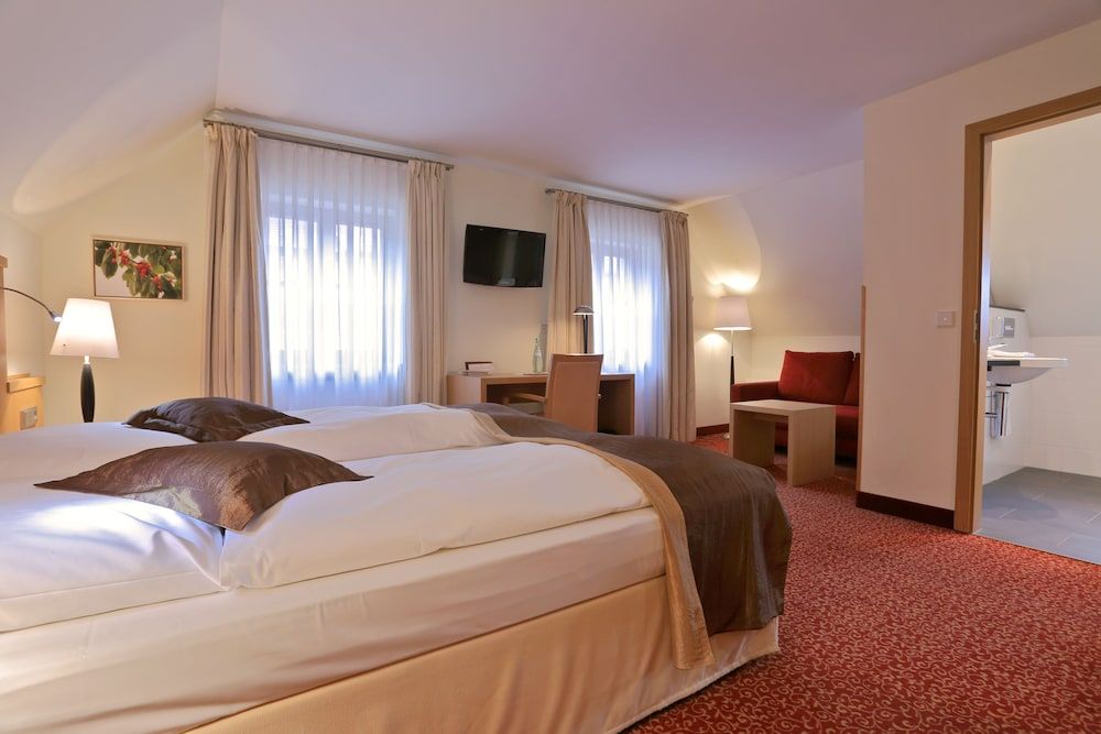 Hotel Zur Schwane Standard Double Room 2