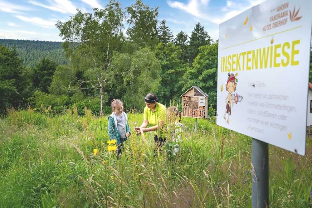 Children's Play Area