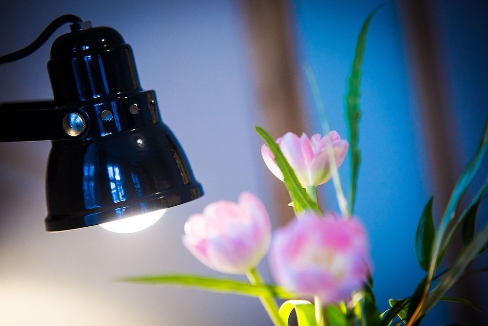 Hotel Anna 1908 Berlin Family Room (quadruple room) 10