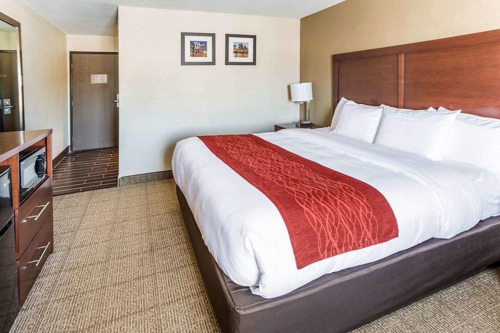 Standard Room, 1 King Bed, Non Smoking