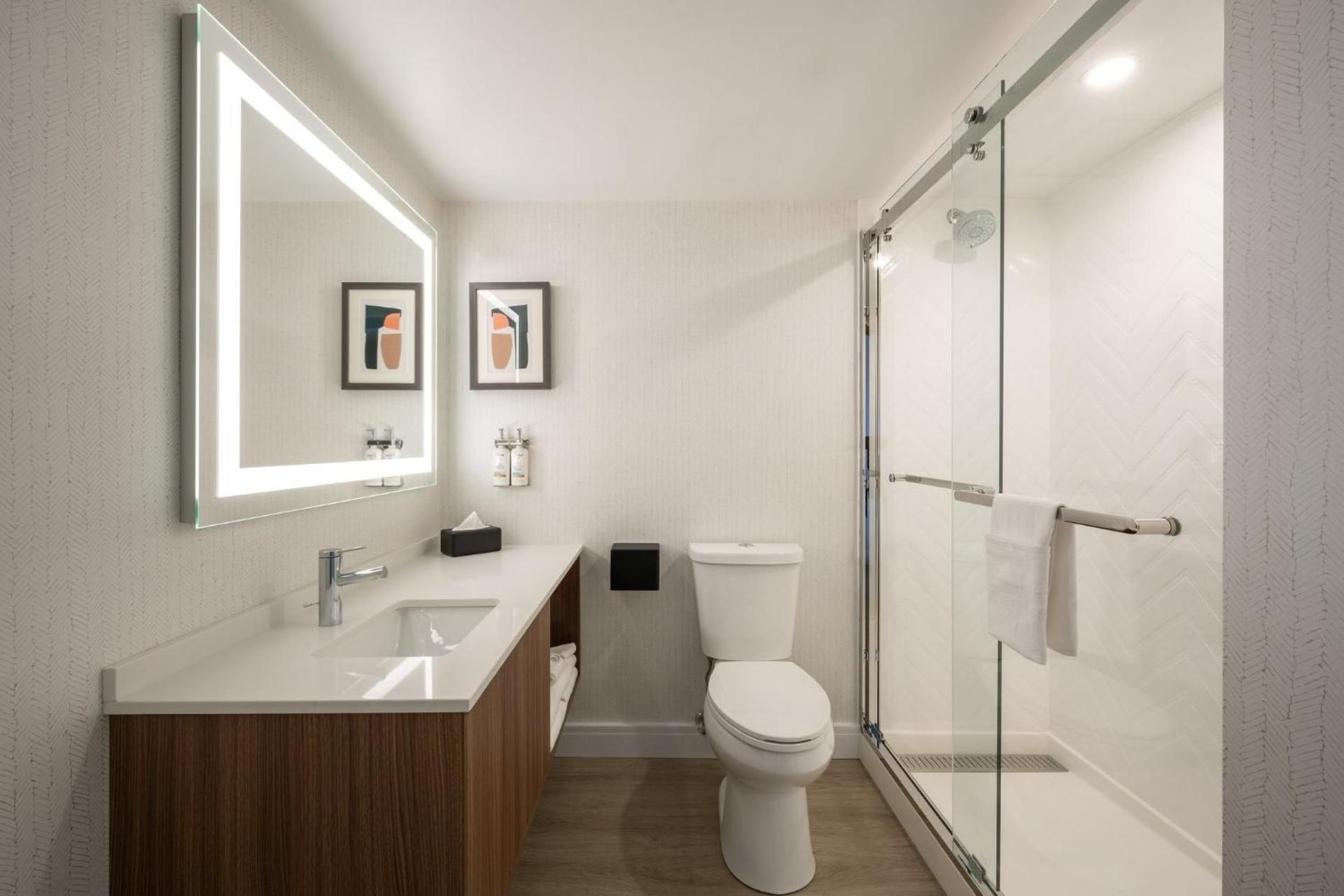 Standard King Room with Sofa Bed