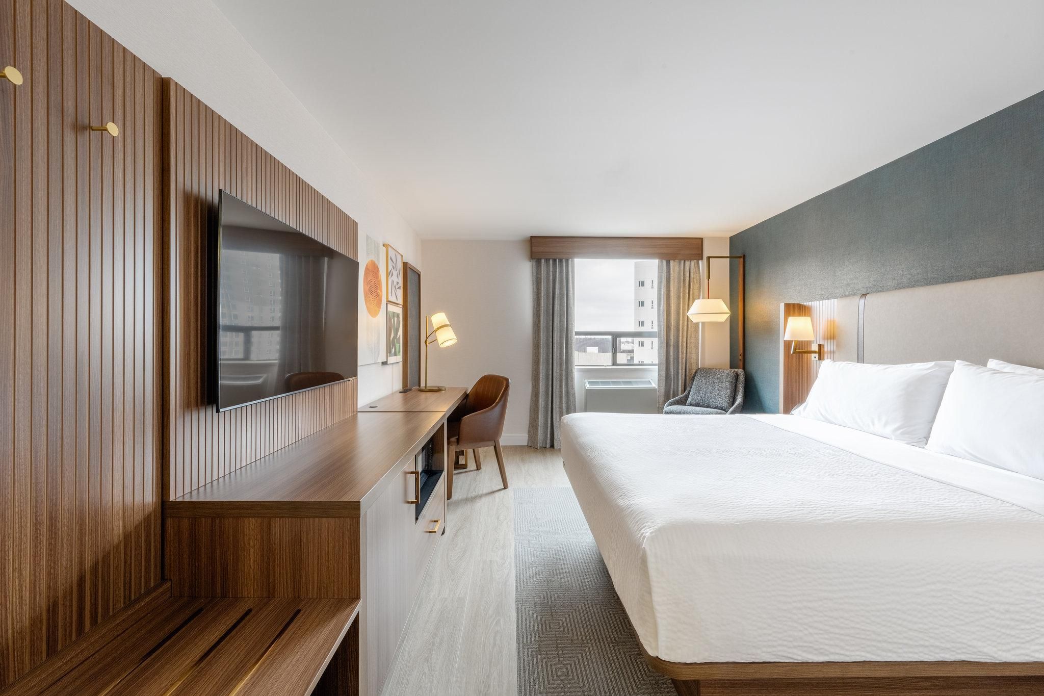 Holiday Inn & Suites Winnipeg Downtown By IHG 1 King Standard