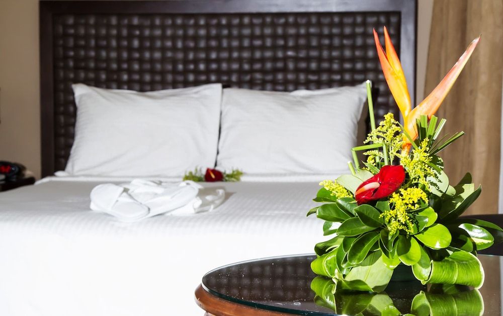 undefined Rincón del Valle Hotel & Suites 5