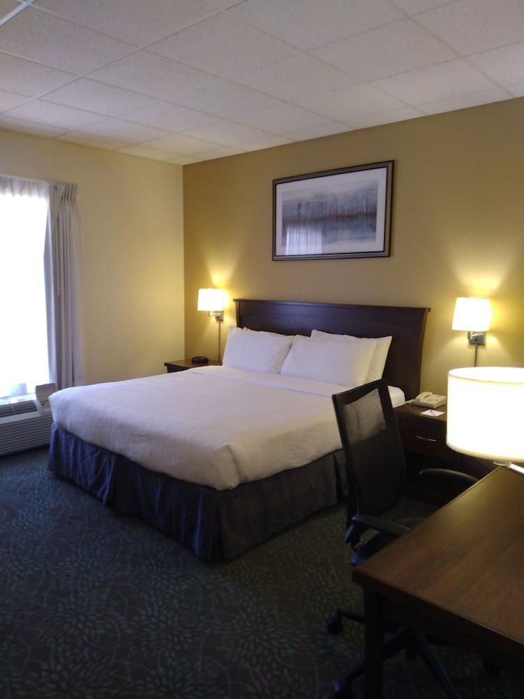 Standard Room, 1 King Bed, Accessible, Non Smoking (Mobility Accessible)