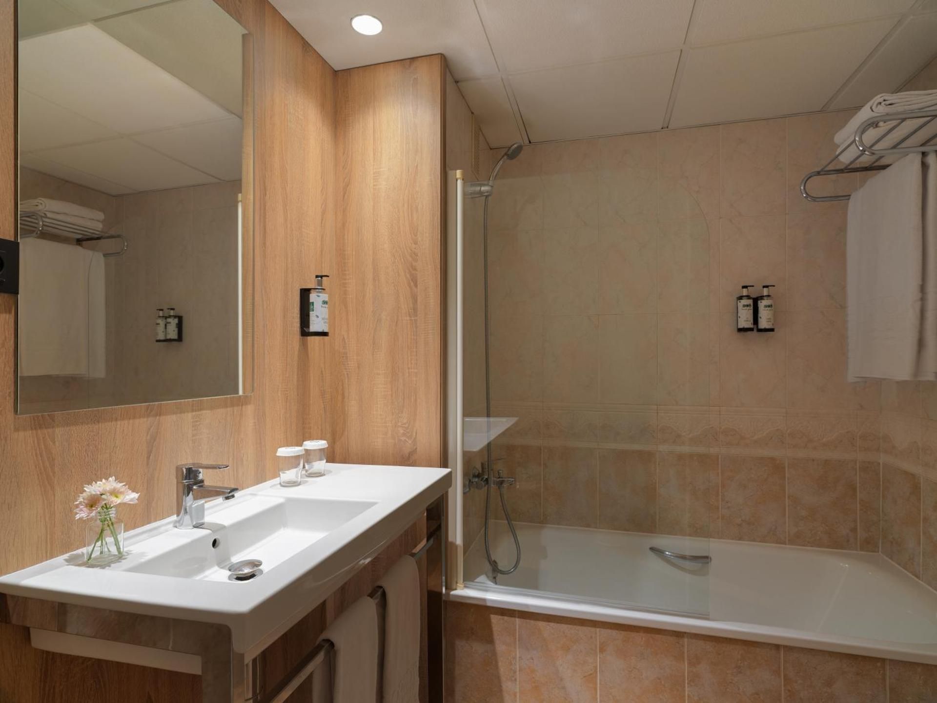 Standard with Pool View (4 adults) with Access to Amusement Park + 1 Access to Ferrari Land
