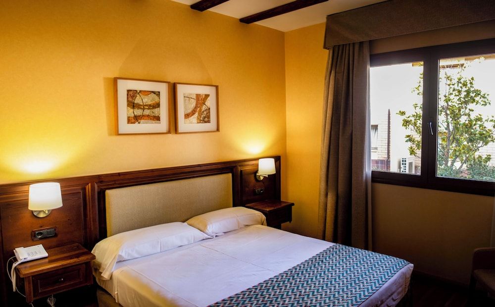 Hotel Spa Tudanca Aranda Basic Double Room Single Use