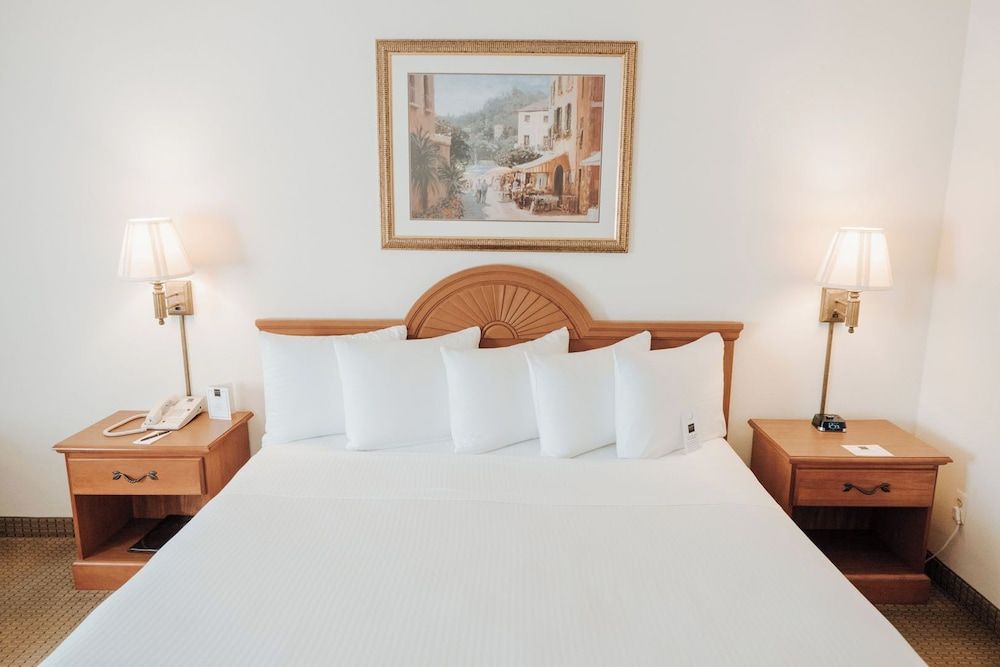 Ann Arbor Regent Hotel & Suites Standard Room, 1 King Bed, Jetted Tub 2