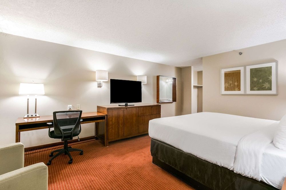 Standard Room, 1 King Bed, Non Smoking