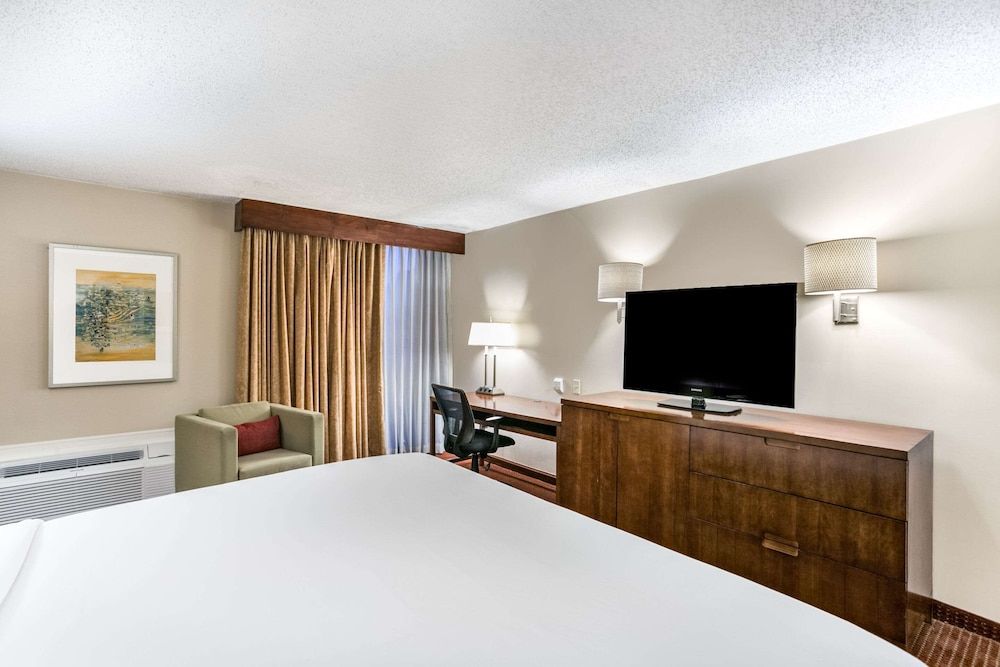 Standard Room, 1 King Bed, Non Smoking