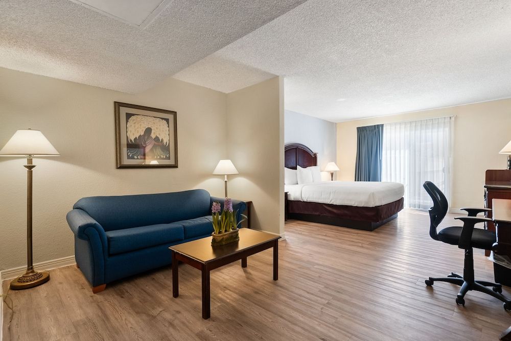Single Room, 1 King Bed with Sofa bed