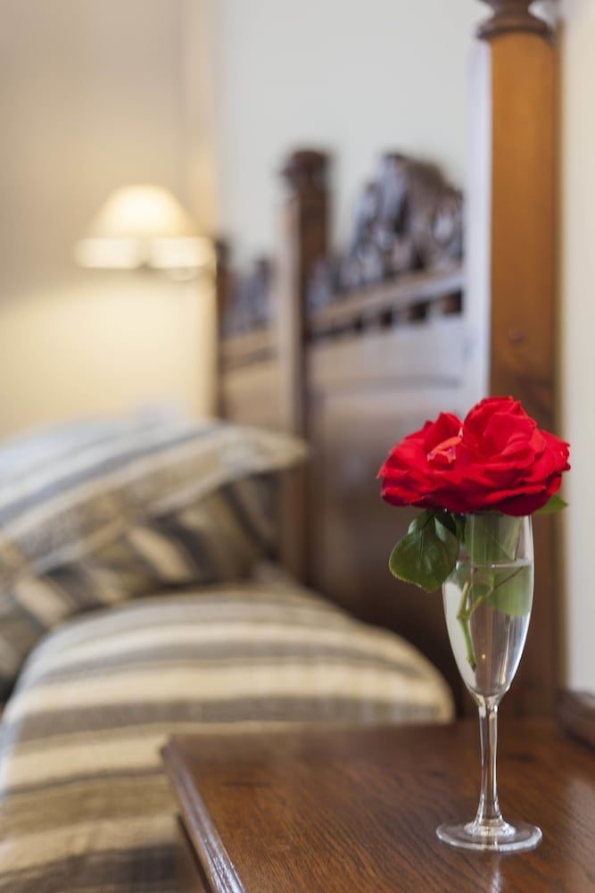 Hotel La Boriza Double or Twin Room 9