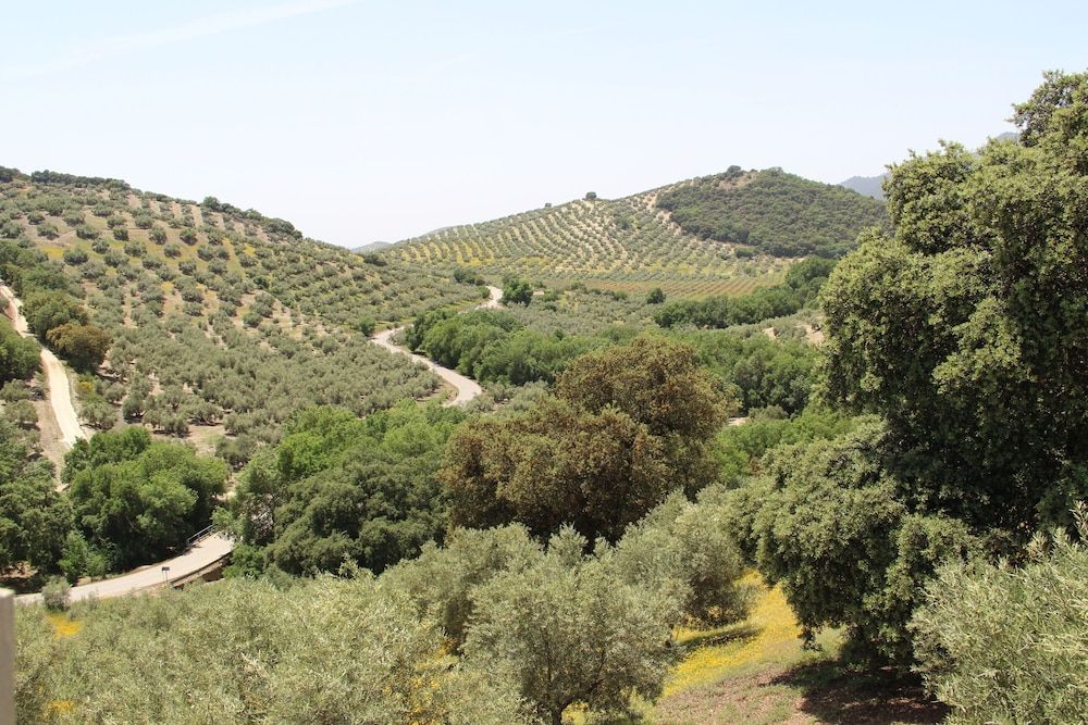 Cortijo La Presa Family Apartment, 2 Bedrooms, Non Smoking, Courtyard Area 3