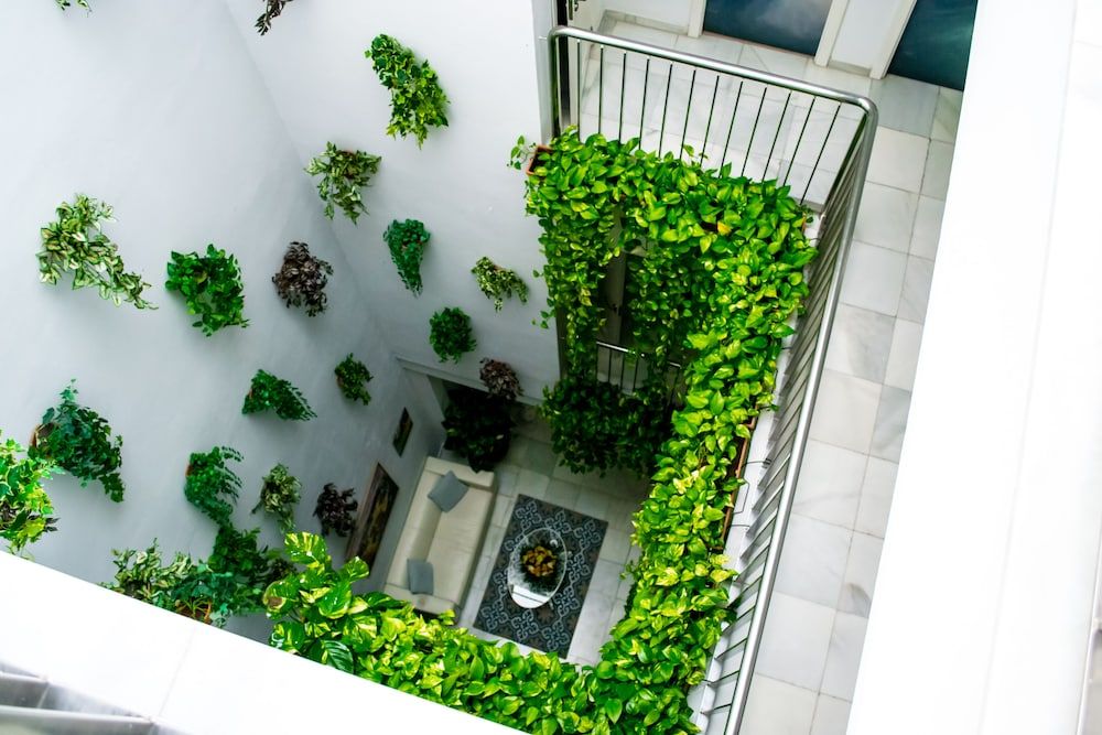 undefined Hotel Un Patio en Santa Cruz 7