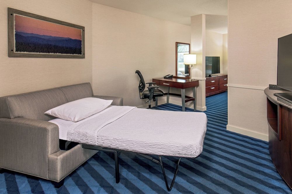 Studio, 1 King Bed with Sofa bed (Mobility/Hearing Access, Roll-In Shwr)