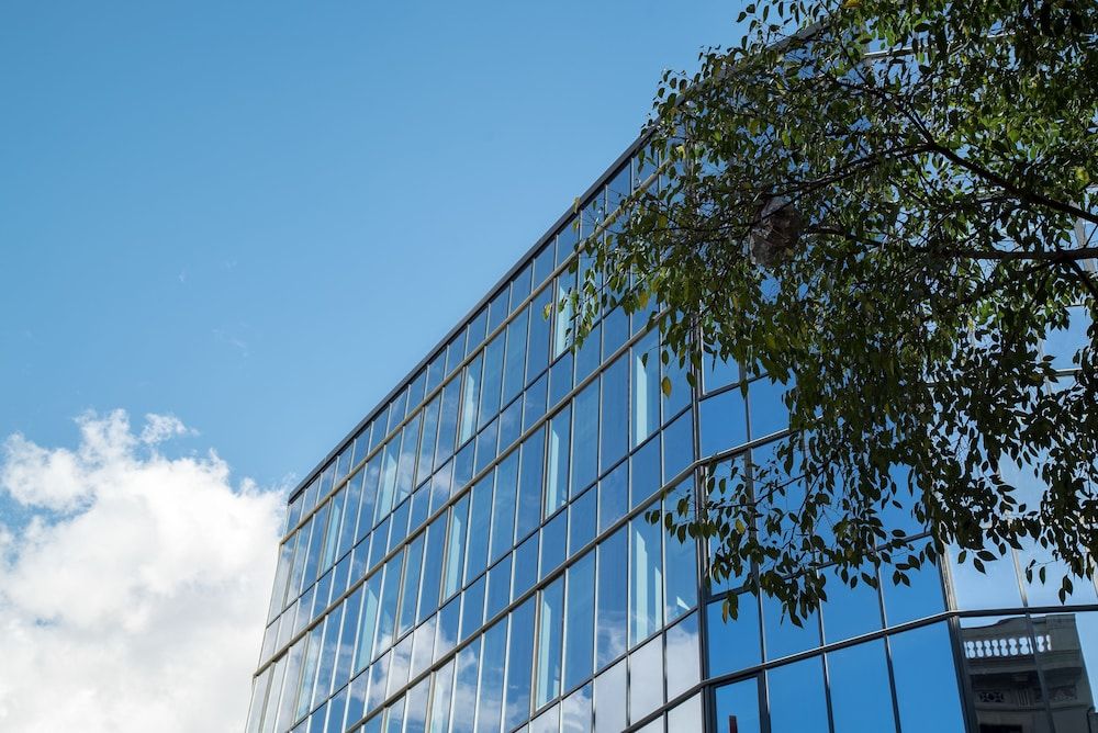 undefined Negresco Princess 7