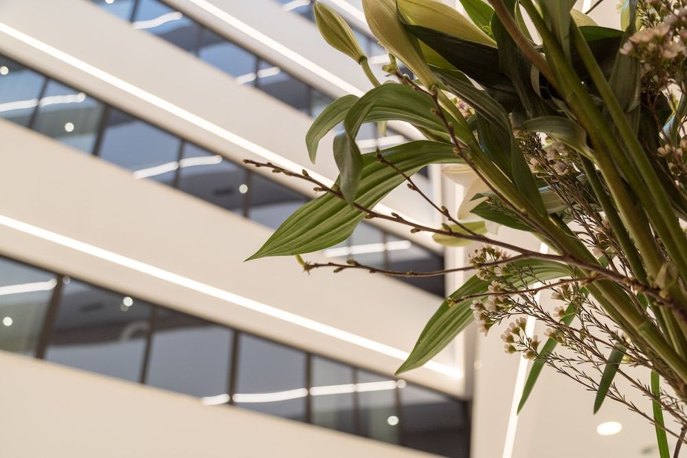 undefined Negresco Princess 6