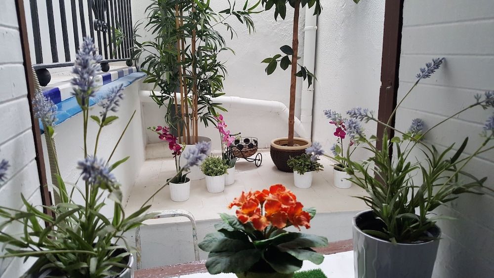 undefined Pensión La Giraldilla 6