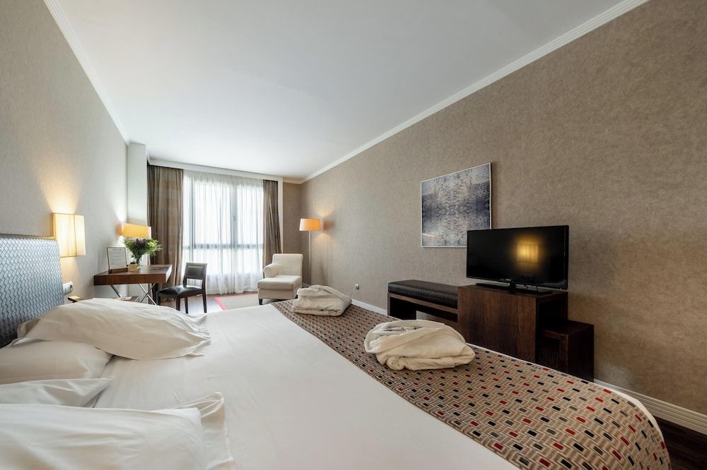 Castilla Termal Balneario de Olmedo Standard Double or Twin Room