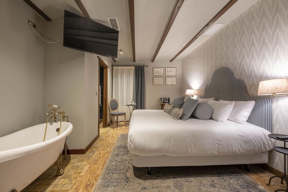 Hotel Cetina Palacio de los Salcedo Standard Double Room 2