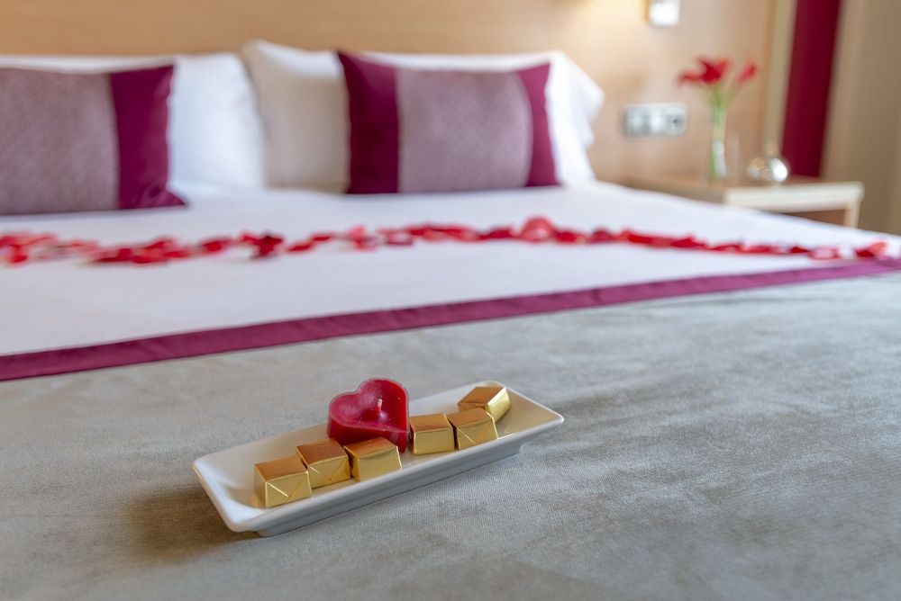 Hotel Real Lleida Superior Room, River View 2