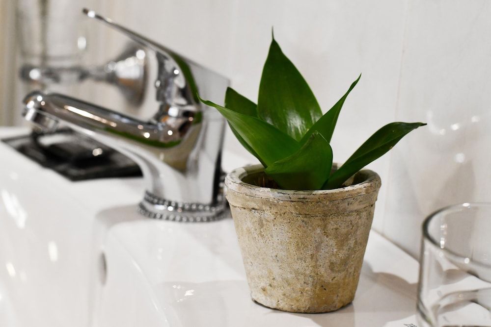 Hotel Celta Double Room 5