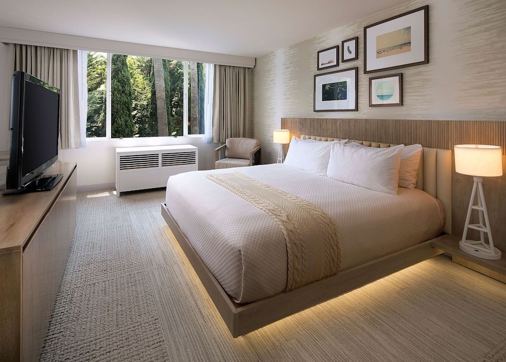 Room, 1 King Bed