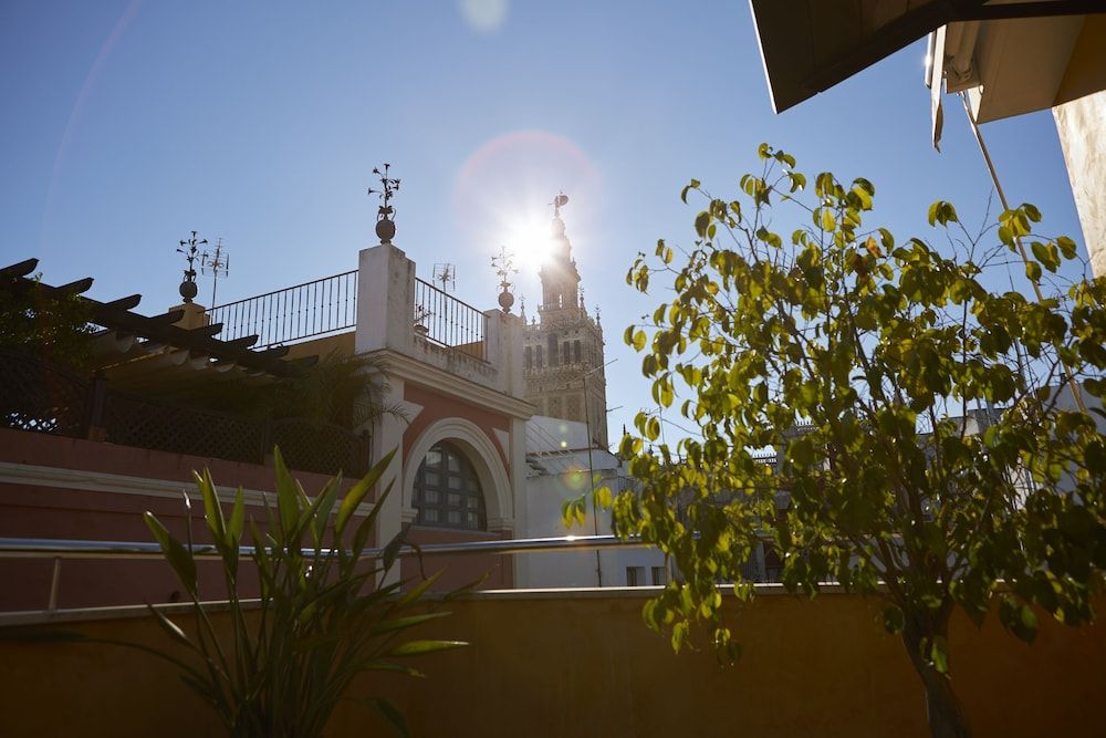 Land View from Property