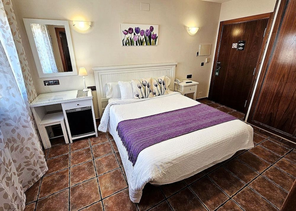 Hotel Medina de Toledo Double Room 20