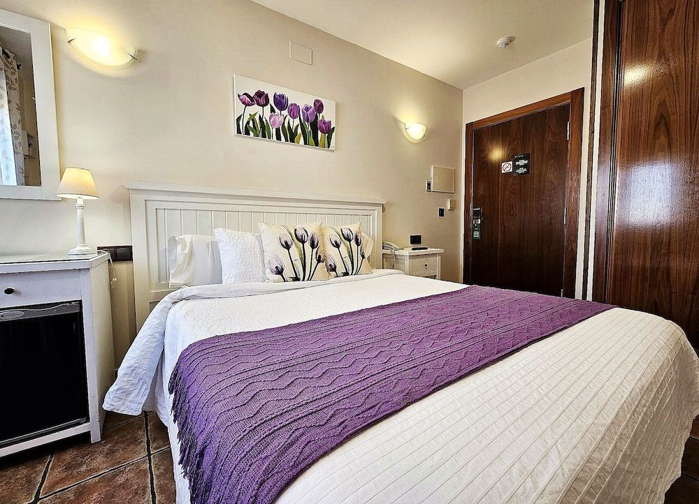 Hotel Medina de Toledo Double Room 19