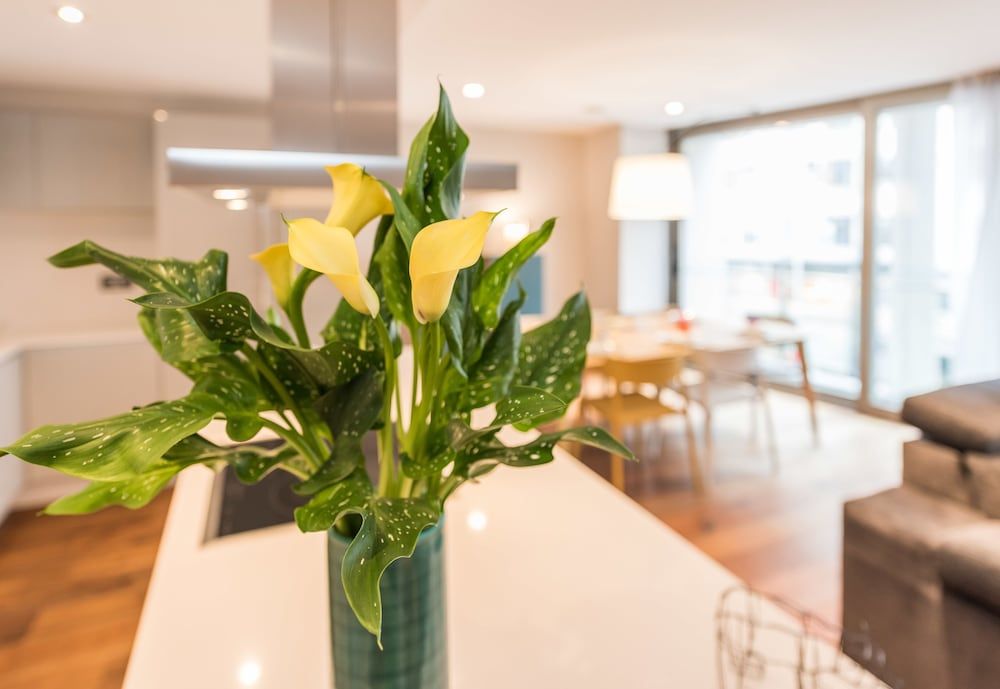 undefined SmartRental Collection Centric II 6