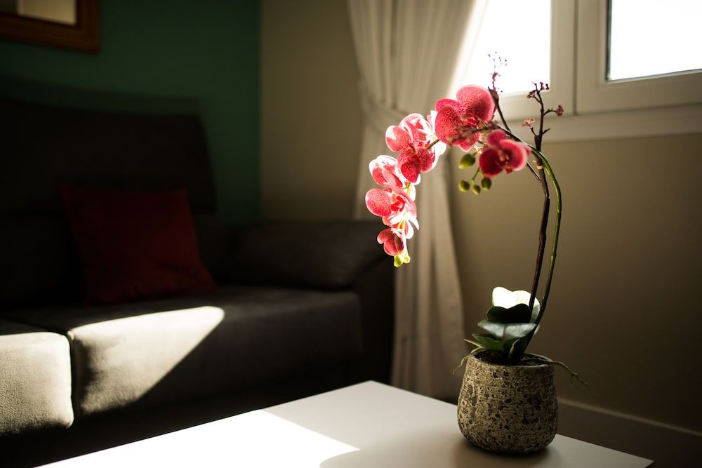 Apartamentos Cruz Light & Bright Penthouse near Puerta del Sol 8