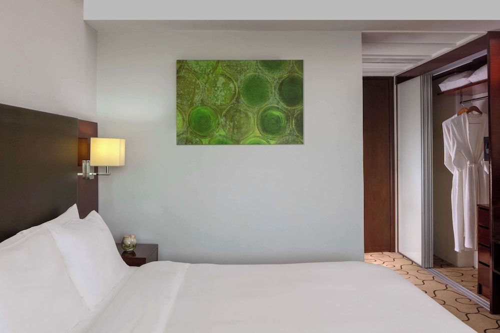 Radisson Hotel Brunei Darussalam Superior Room 8