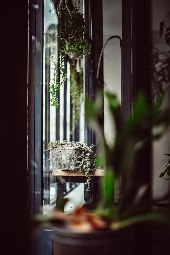 undefined Monsieur Helder 7