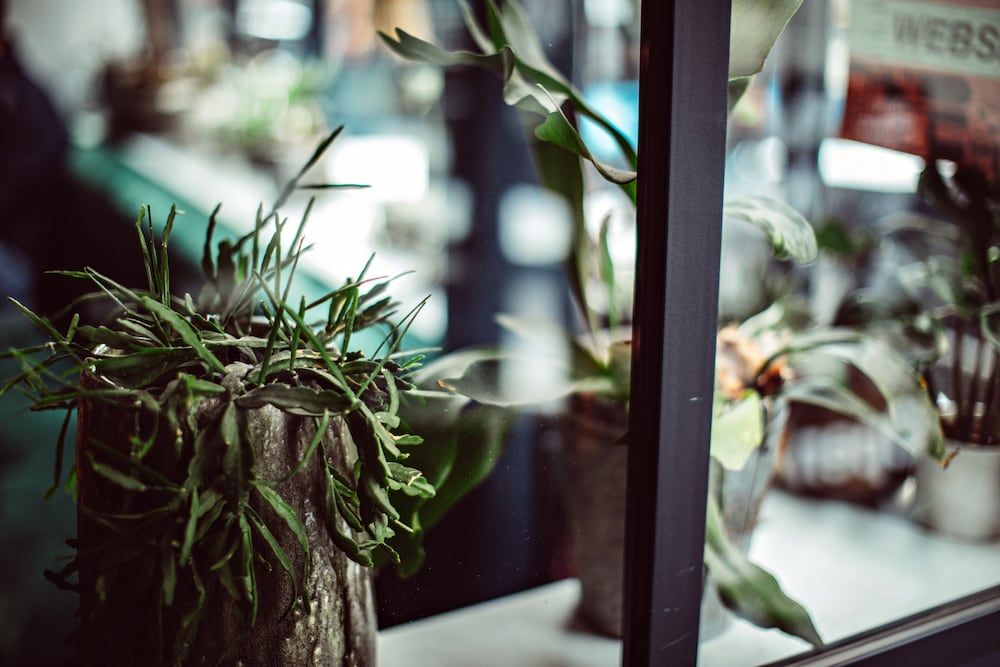 undefined Monsieur Helder 9