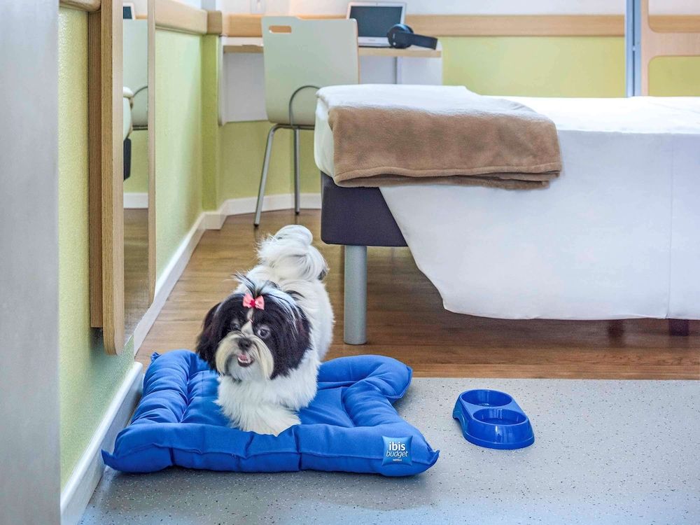 ibis budget Paris La Villette 19eme Double Room 4