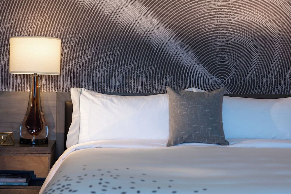 Room, 1 King Bed