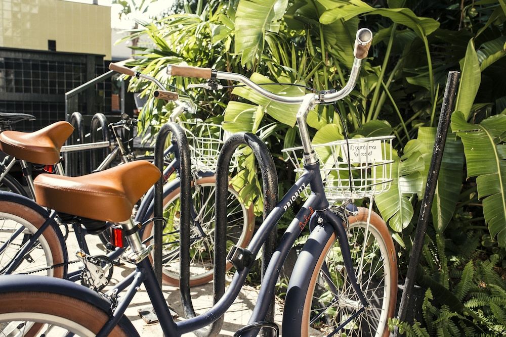 undefined Freehand Miami 2