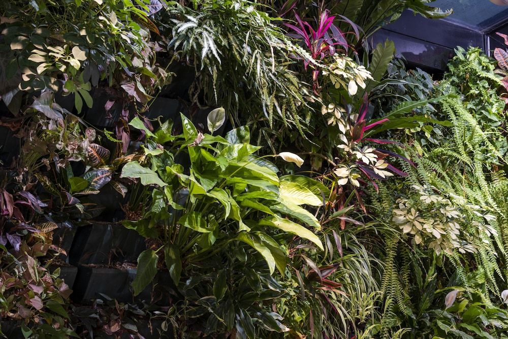 undefined Hotel Pas De Calais 6