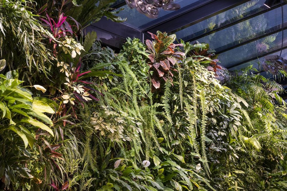 undefined Hotel Pas De Calais 7