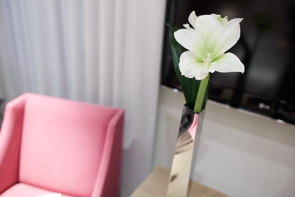 Maison Pic Superior Room 4