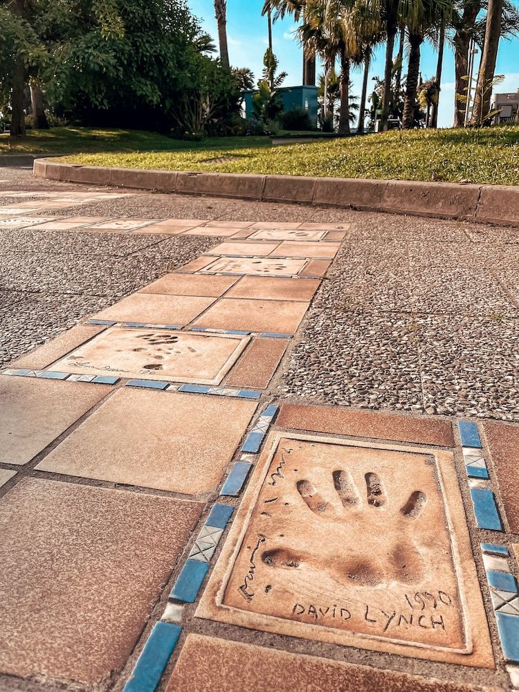 undefined Hotel Anna Livia 6