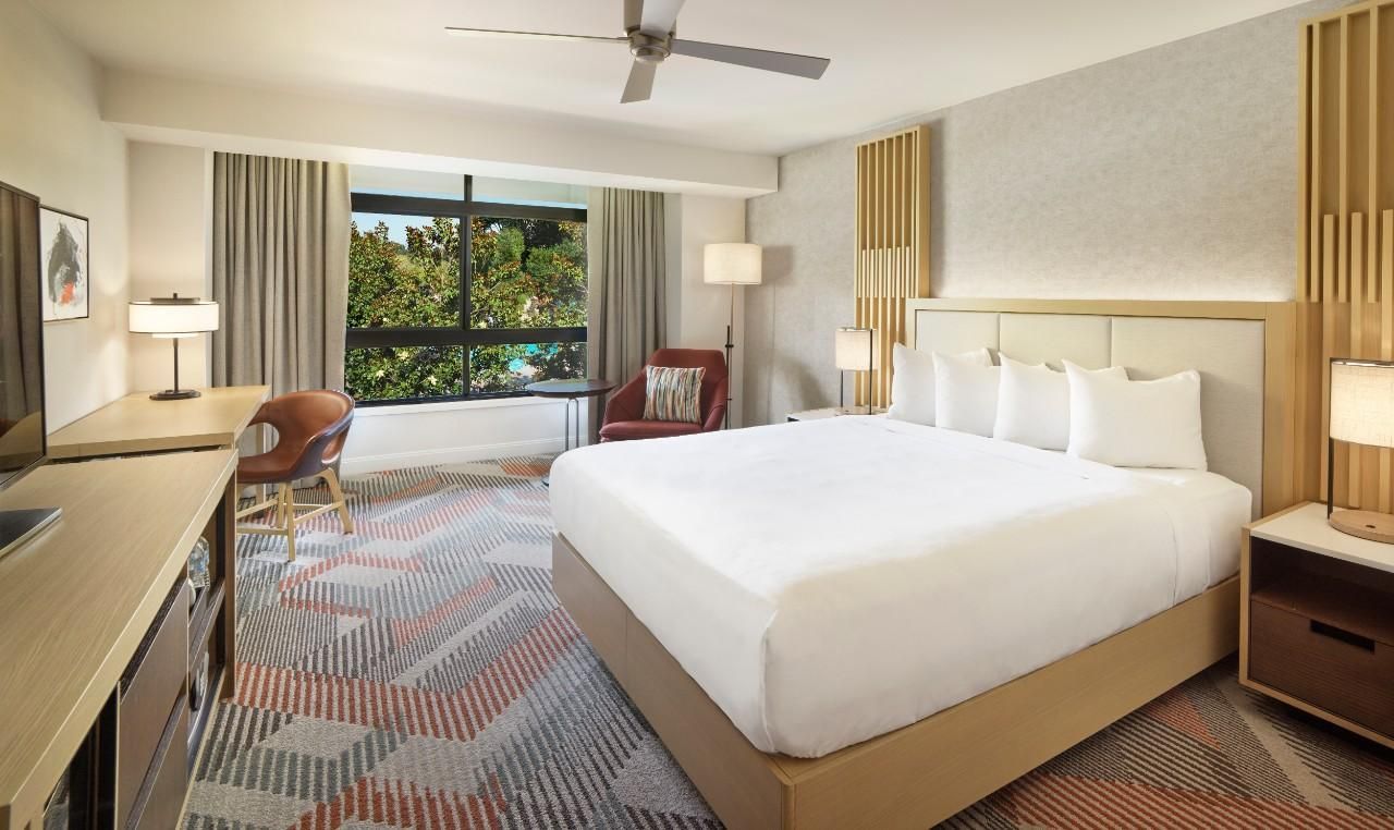 1 King Bed