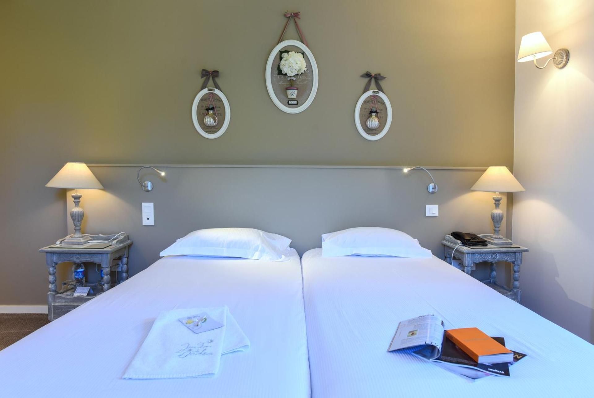 Superior Double or Twin Room with Garden View