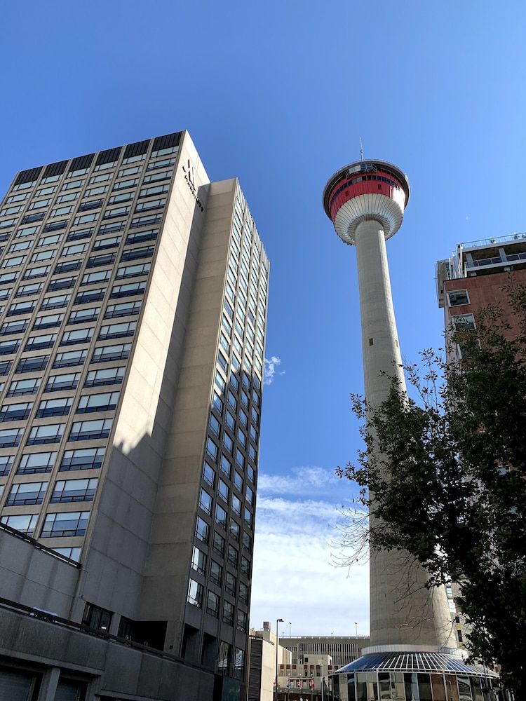 undefined Calgary Marriott Downtown Hotel 5