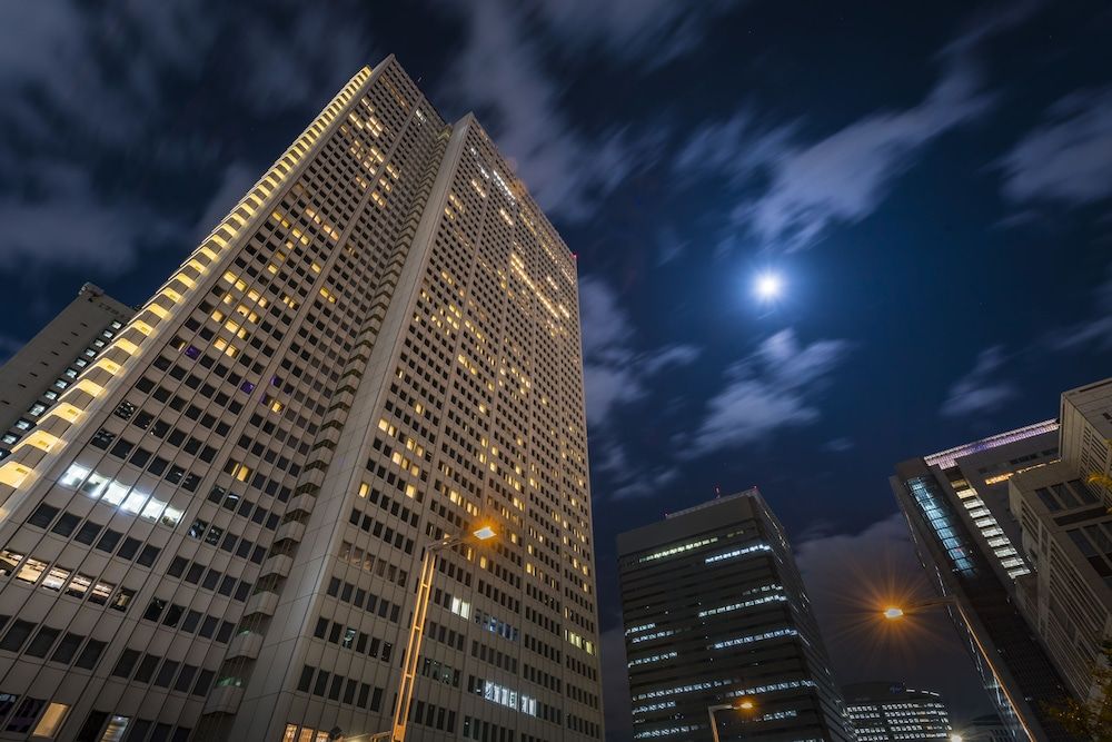 undefined Keio Plaza Hotel Tokyo 10